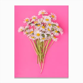 Daisies on Pink Canvas Print
