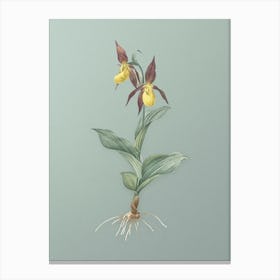 Vintage Lady's Slipper Orchid Botanical Art on Mint Green n.0572 Canvas Print
