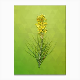 Vintage Yellow Asphodel Botanical Art on Love Bird Green Canvas Print