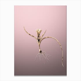 Gold Botanical Ixia Recurva on Rose Quartz n.0112 Canvas Print