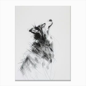 Miniature American Shepherd Dog Charcoal Line 3 Canvas Print