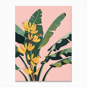 Banana Tree 4 Canvas Print