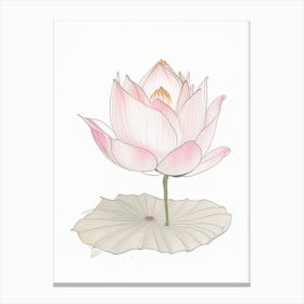 Lotus Flower In Garden Pencil Illustration 2 Canvas Print