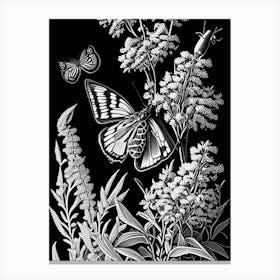 Butterfly Bush Wildflower Linocut 1 Canvas Print