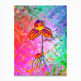 Tri Flower Botanical in Acid Neon Pink Green and Blue n.0263 Canvas Print