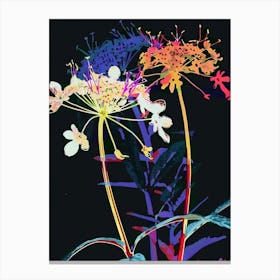 Neon Flowers On Black Queen Annes Lace 3 Canvas Print