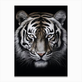 Wild 8 Canvas Print