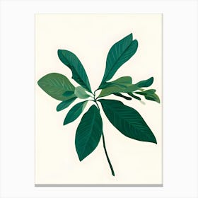 Green Leaf Canvas Print