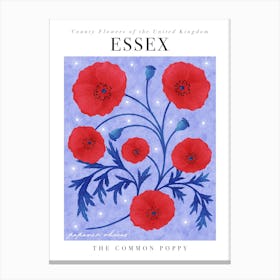 County Flower of Essex Common Poppy Canvas Print