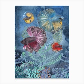 Betta fishes watercolor Canvas Print