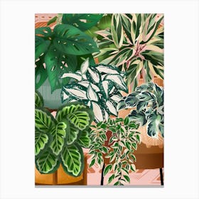 Plants In Pots 9 Canvas Print