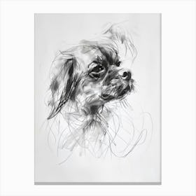 Tibetan Spaniel Dog Charcoal Line 3 Canvas Print