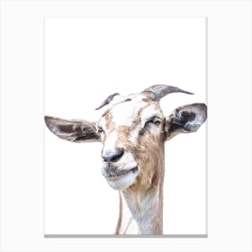 Goat Portrait Canvas Print