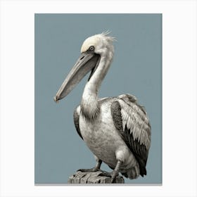 Pelican Canvas Print 2 Canvas Print