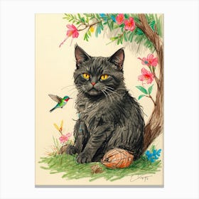 Black Cat With Hummingbird Canvas Print