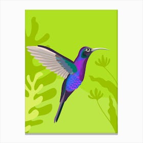 Hummingbird Canvas Print