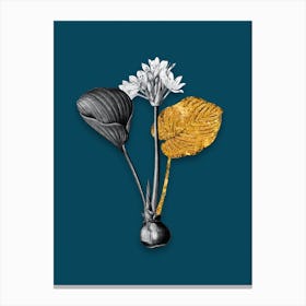 Vintage Cardwell Lily Black and White Gold Leaf Floral Art on Teal Blue Canvas Print