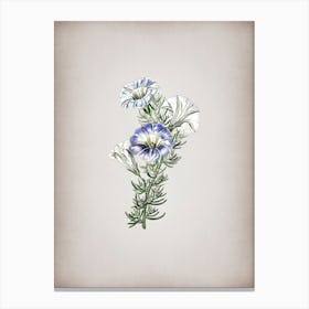Vintage Sky Blue Alona Flower Botanical on Parchment n.0225 Canvas Print