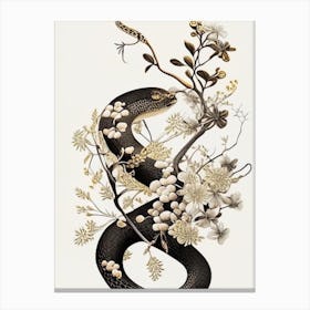 Brown Tree Snake Gold And Black Canvas Print
