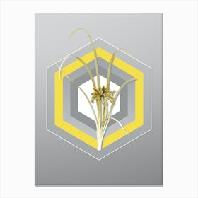 Botanical Grass Leaved Iris in Yellow and Gray Gradient n.222 Canvas Print