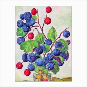 Salal Berry Vintage Sketch Fruit Canvas Print