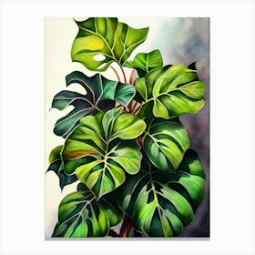 Monstera Plant nature flora Canvas Print