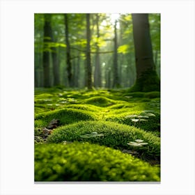 Mossy Forest Canvas Print