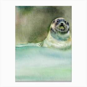 Ringed Seal II Storybook Watercolour Canvas Print
