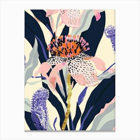 Colourful Flower Illustration Scabiosa 3 Canvas Print