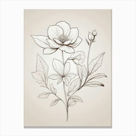 Hand Drawn Flowers Canvas Print