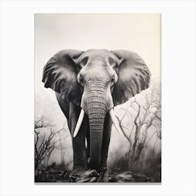 African Elephant Realism Portrait 3 Canvas Print
