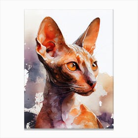 Sphynx Cat animal 1 Canvas Print