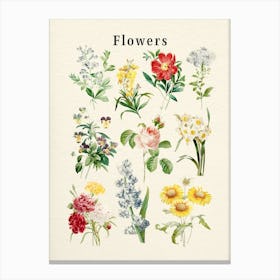 Flowers Collection Canvas Print