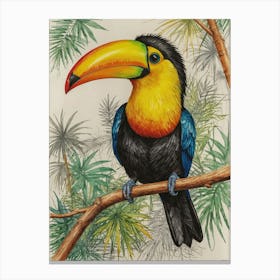 Toucan 20 Canvas Print