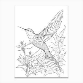 Broad Tailed Hummingbird William Morris Line Drawing Canvas Print