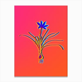 Neon Rain Lily Botanical in Hot Pink and Electric Blue n.0211 Canvas Print