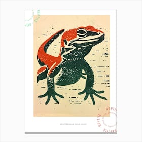 Red Mediterranean House Gecko Bold Block 1 Poster Canvas Print