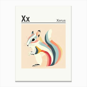 Animals Alphabet Xerus 4 Canvas Print