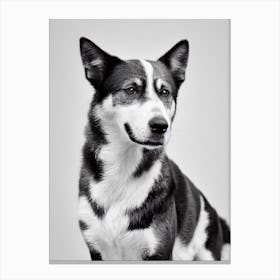 Australian Cattle Dog 2 B&W Pencil dog Canvas Print