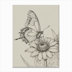 Butterfly On A Flower 1 Canvas Print