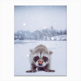 Baby Raccoon Under Snow Canvas Print