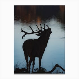 Lakeside Elk Canvas Print