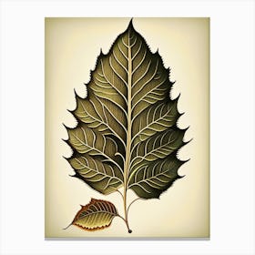 Birch Leaf Vintage Botanical 2 Canvas Print