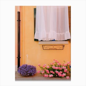Italian Window And Flowers Canvas Print