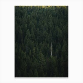 Green Forest Wall Art Canvas Print