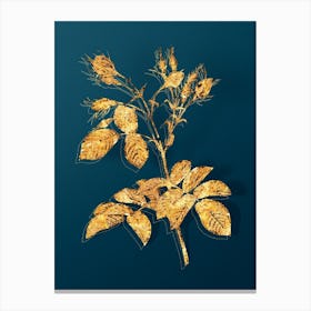 Vintage Evrat's Rose with Crimson Buds Botanical in Gold on Teal Blue n.0140 Canvas Print