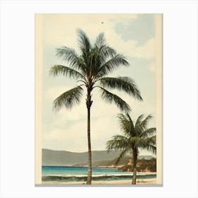 Freshwater Beach Australia Vintage Canvas Print