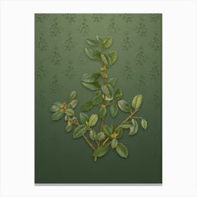 Vintage Italian Buckthorn Botanical on Lunar Green Pattern n.0142 Canvas Print
