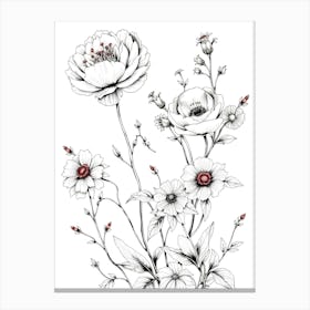 Flowers On A White Background Canvas Print