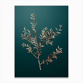 Gold Botanical Myrtle Dahoon Branch on Dark Teal Canvas Print